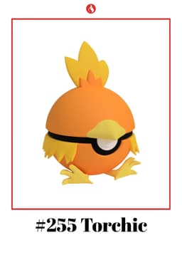 Torchic Ball #255