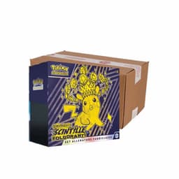 Chispas Fulgurantes 10 Elite Trainer Box Case